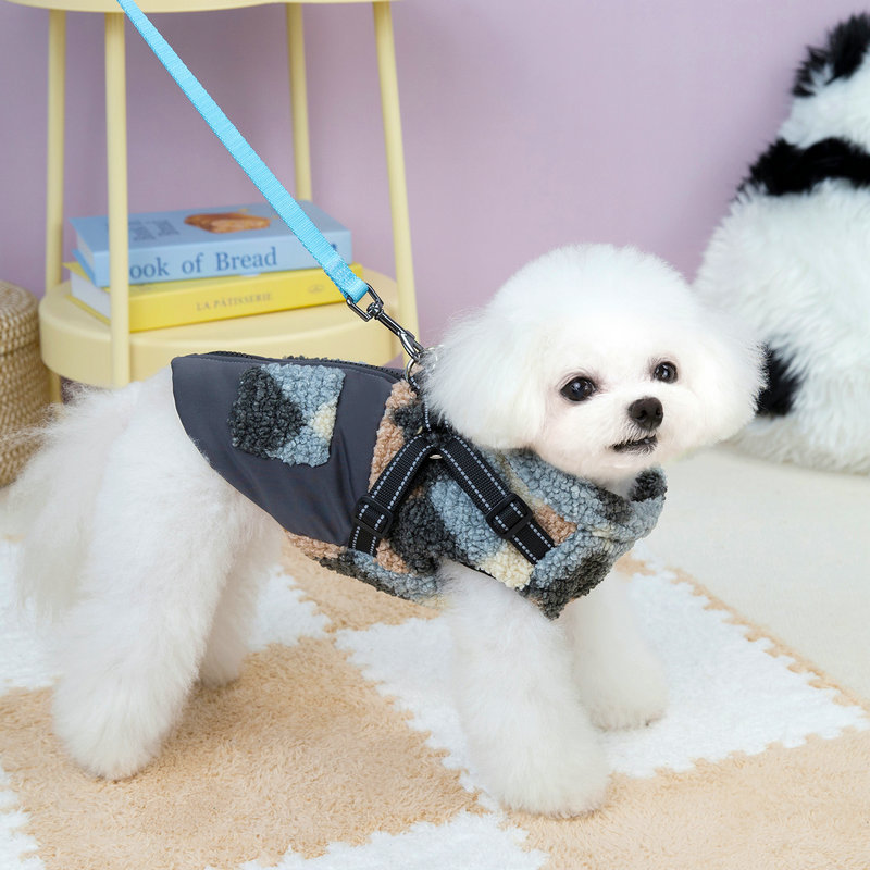 Abbigliamento per animali dome - Winter Clothing Amazon recensione e prezzo
